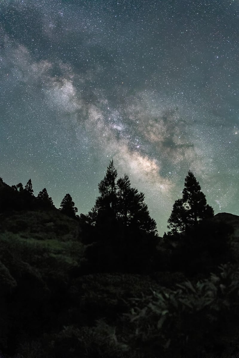 Night sky with stars